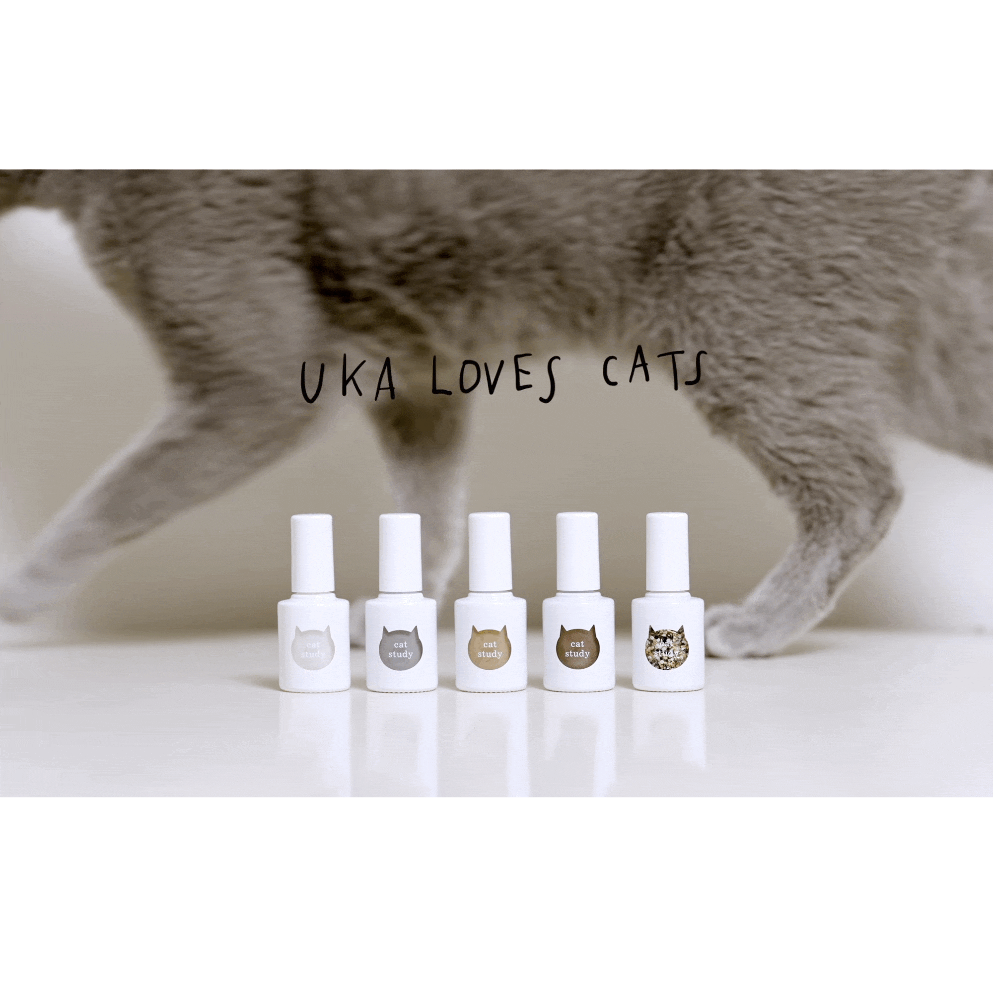 UKA LOVES CATS。本日よりキャットスタディの先行予約がスタート!ビジュアル動画も公開画像