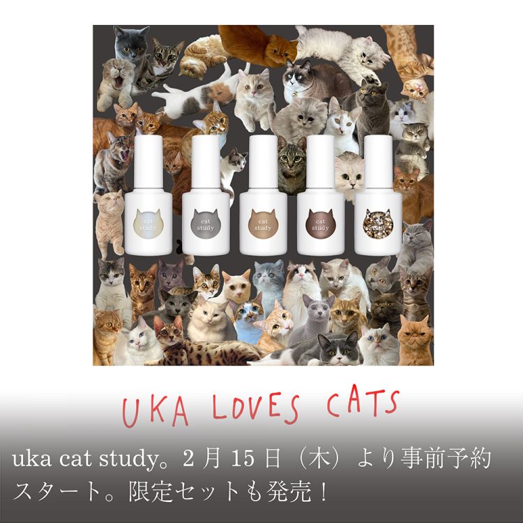 uka cat study。2月15日(木)より事前予約スタート。限定セットも発売!画像