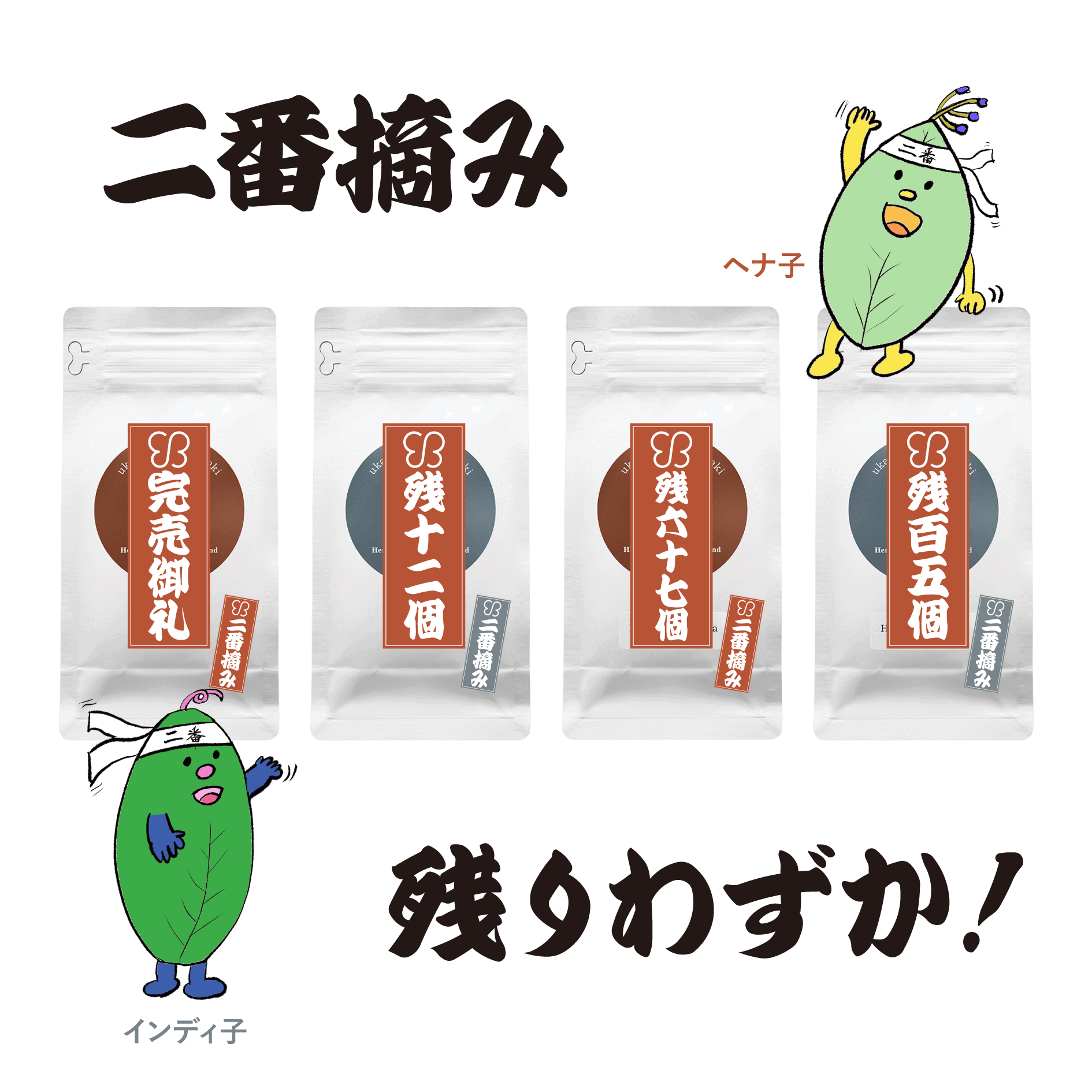 2023年秋冬に収穫されたフレッシュな二番摘みヘナが3月6日(水)より発売画像