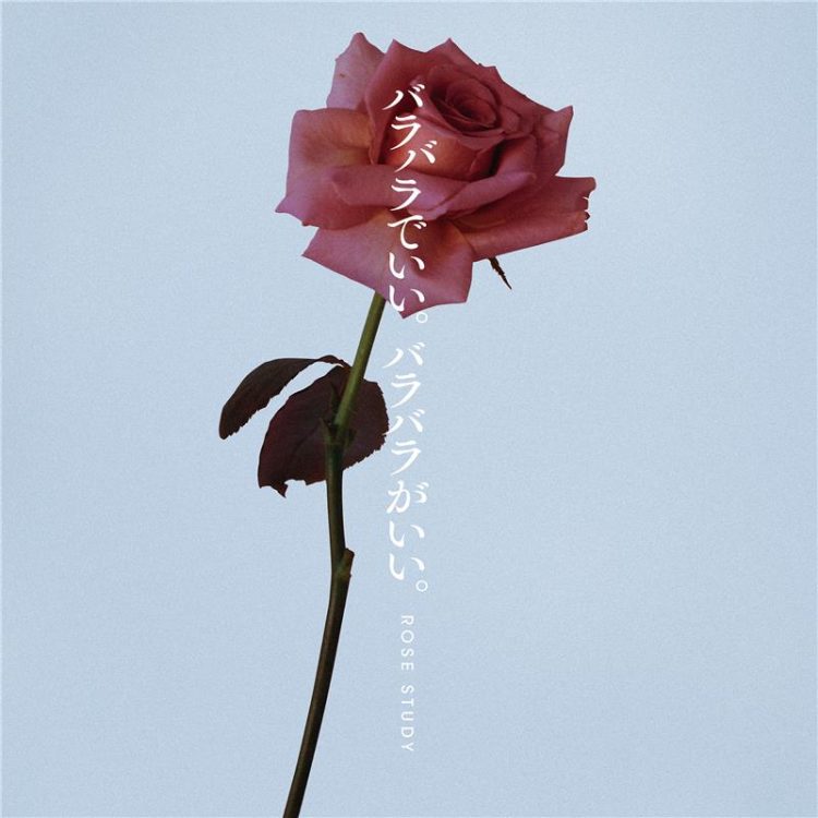 uka rose studyが11月1日(金)より発売!2024年ホリデーコフレのテーマはバラ画像