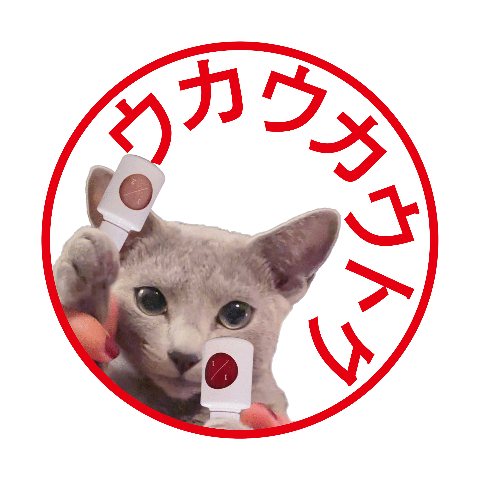 買えば買うほどお得、ウカウカウトク。終了まで3日!画像