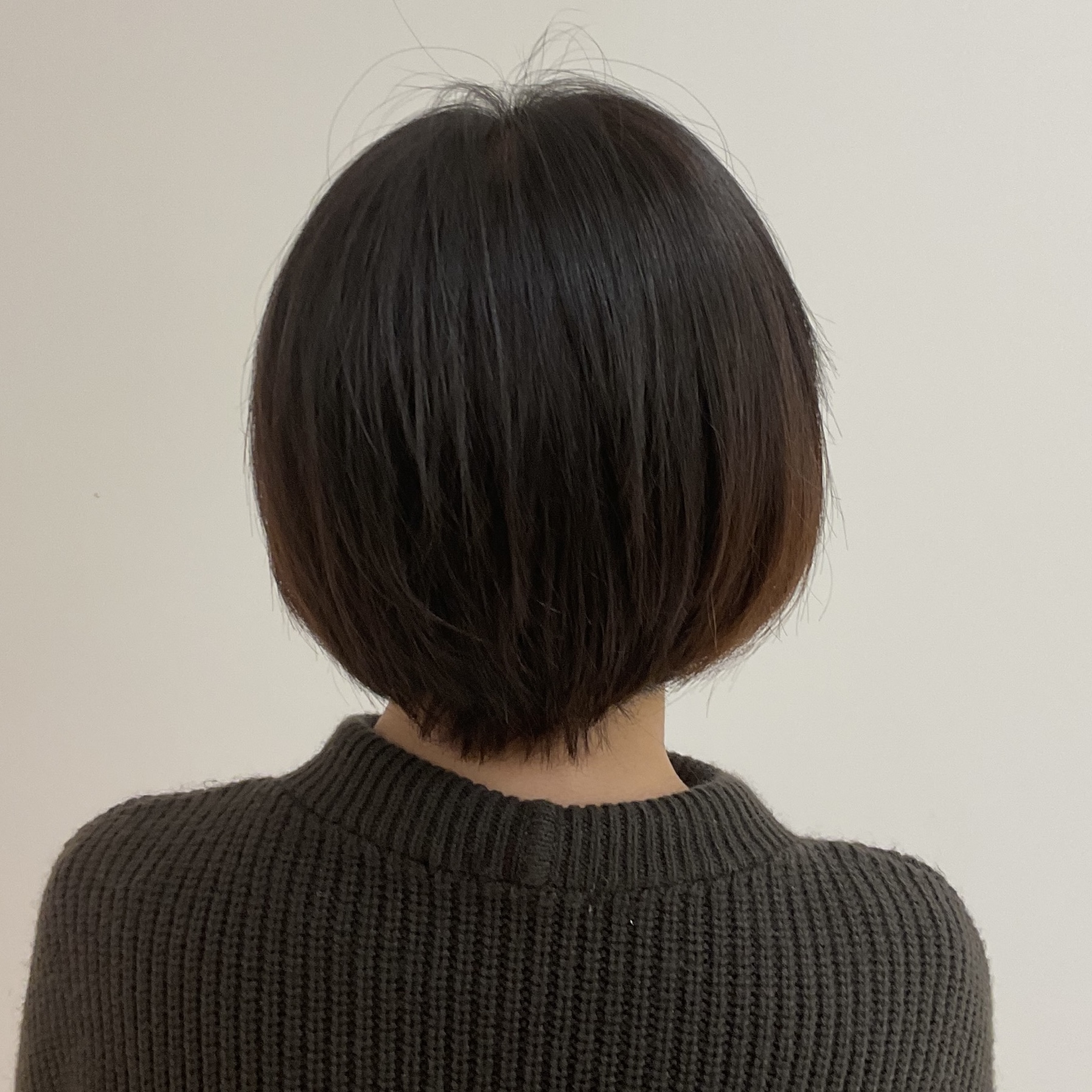販売されたら購入したい