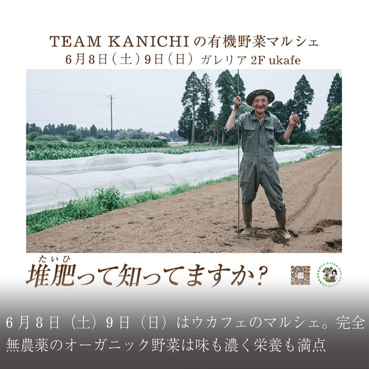 6月8日(土)9日(日)はウカフェのマルシェ。完全無農薬のオーガニック野菜は味も濃く栄養も満点!画像