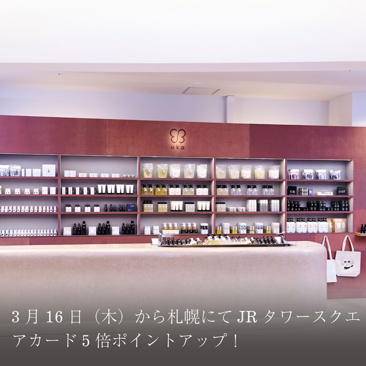 3月16日(木)から札幌にてJRタワースクエアカード5倍ポイントアップ!画像